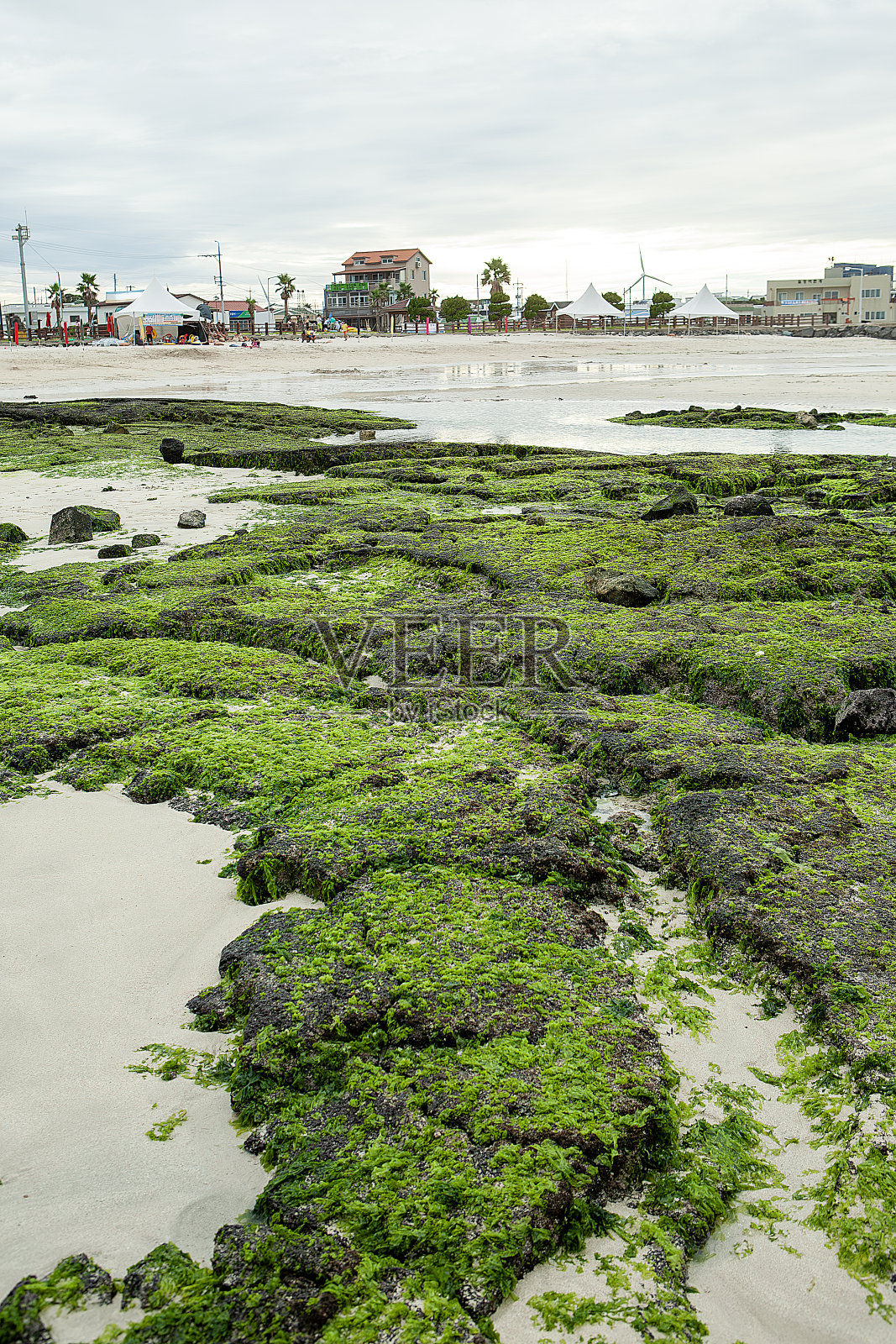 海滩照片摄影图片