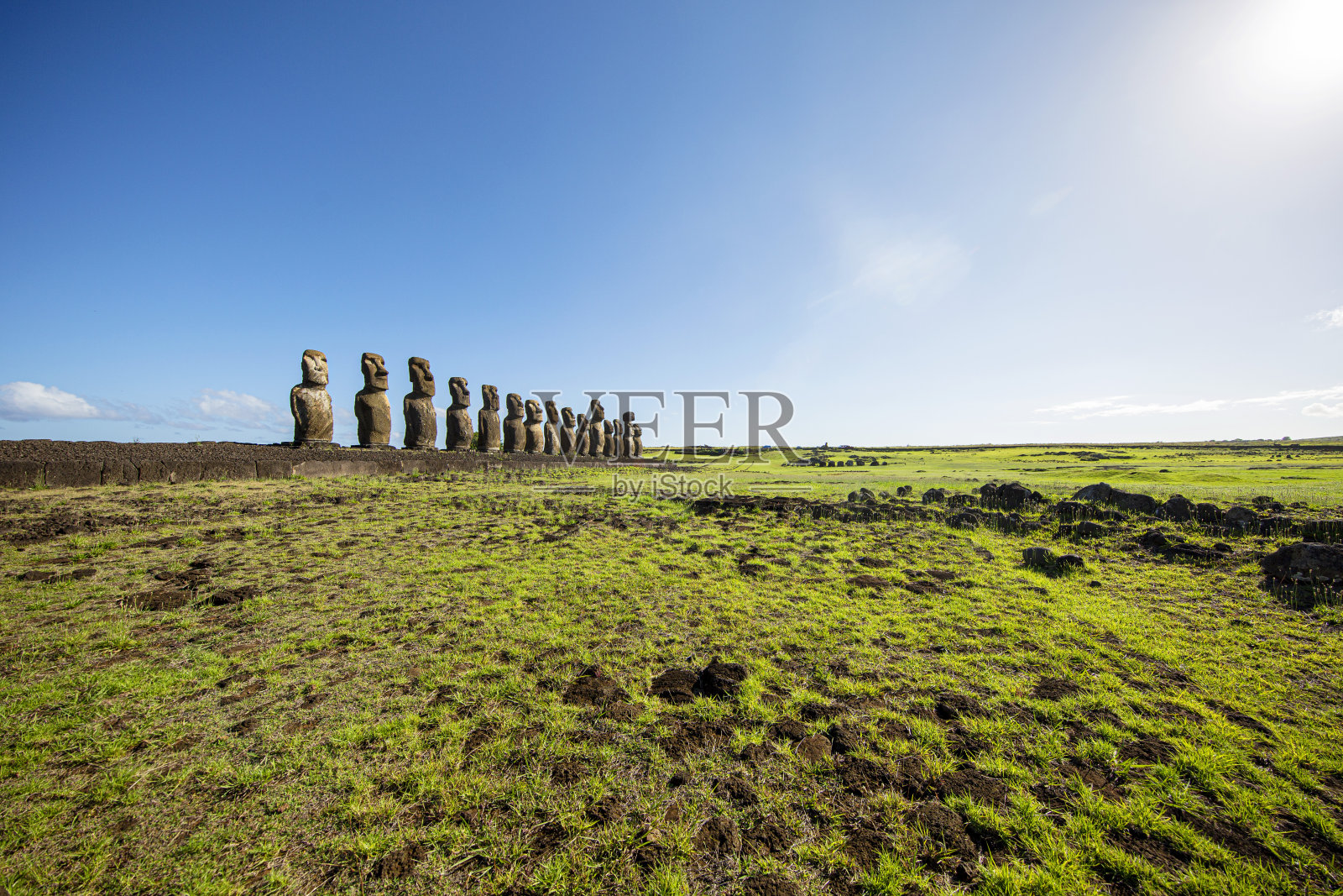 寂静的哨兵:绿草地上的摩埃石像照片摄影图片