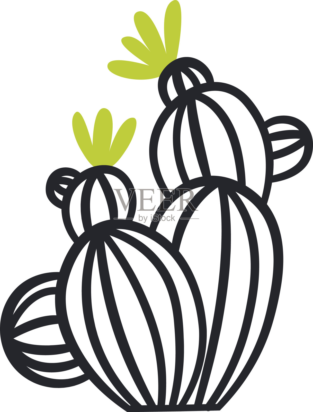 elements_cactuse_hand_drawn_cactus_with_pattern插画图片素材