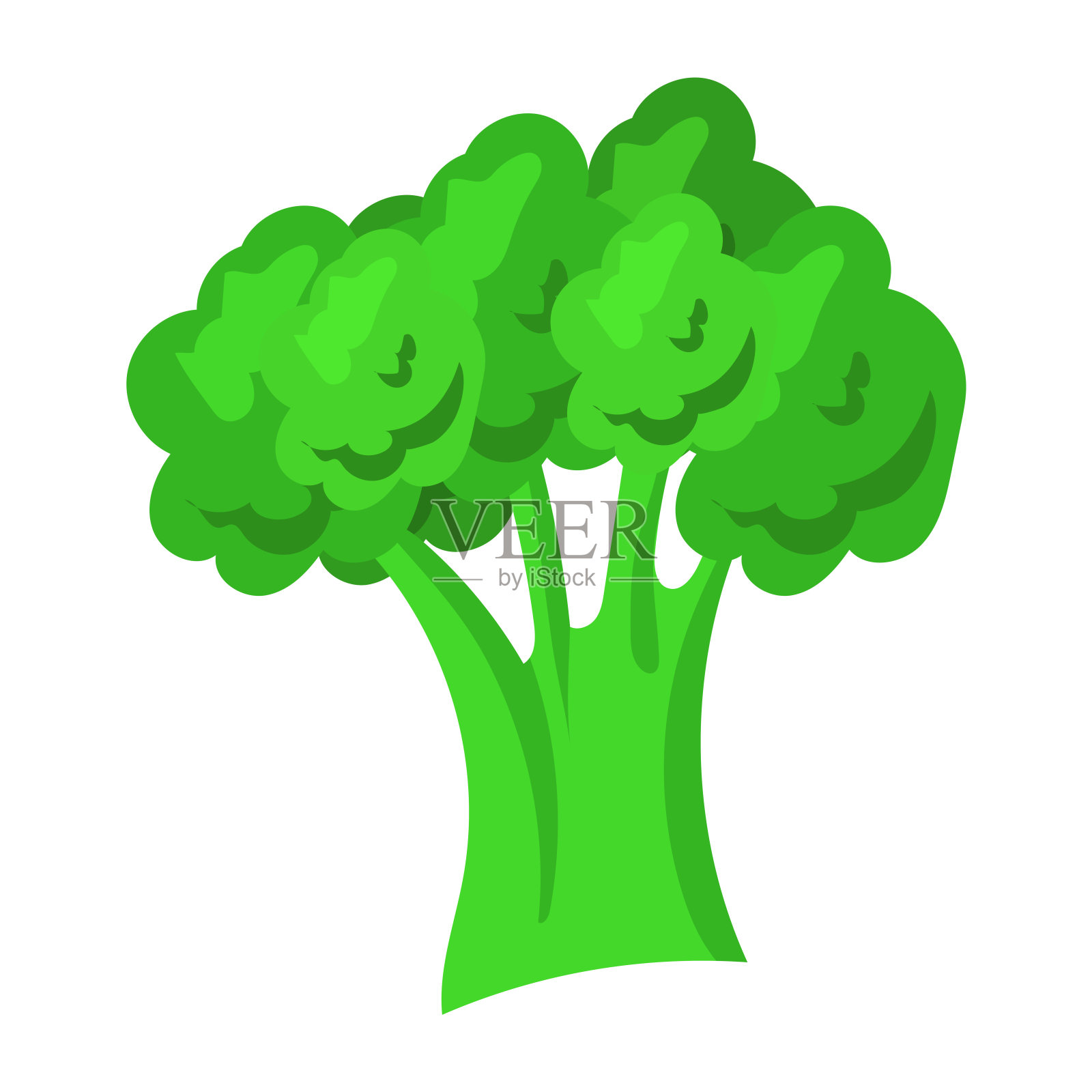 西兰花插图。白色背景上孤立的扁平蔬菜西兰花特写。插画图片素材