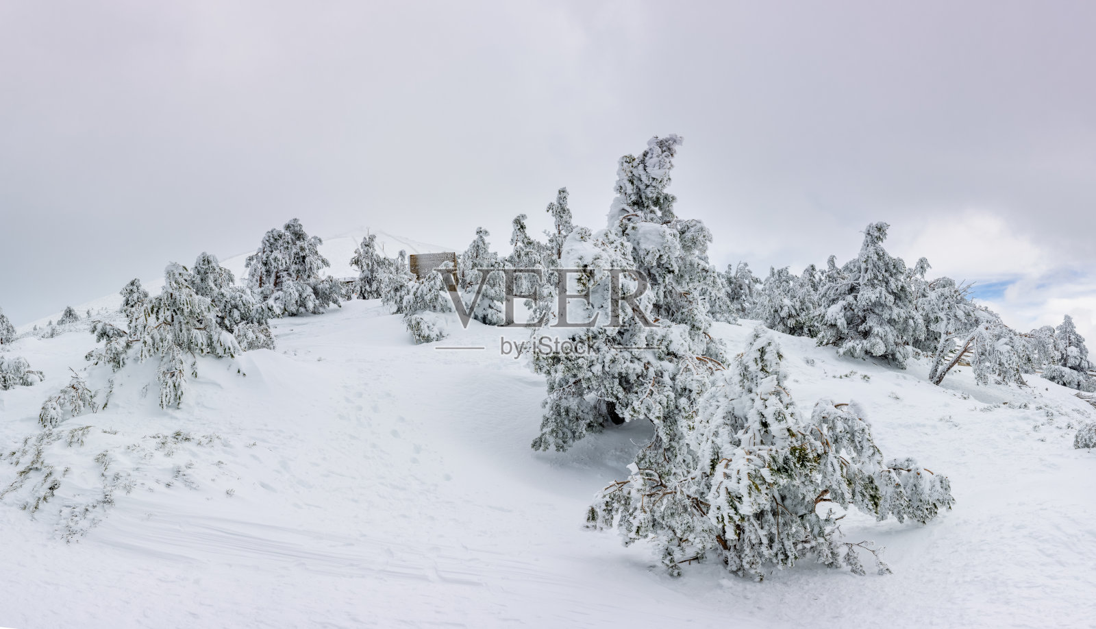 2024年3月，马德里瓜达拉马山脉纳瓦塞拉达港的雪景照片摄影图片