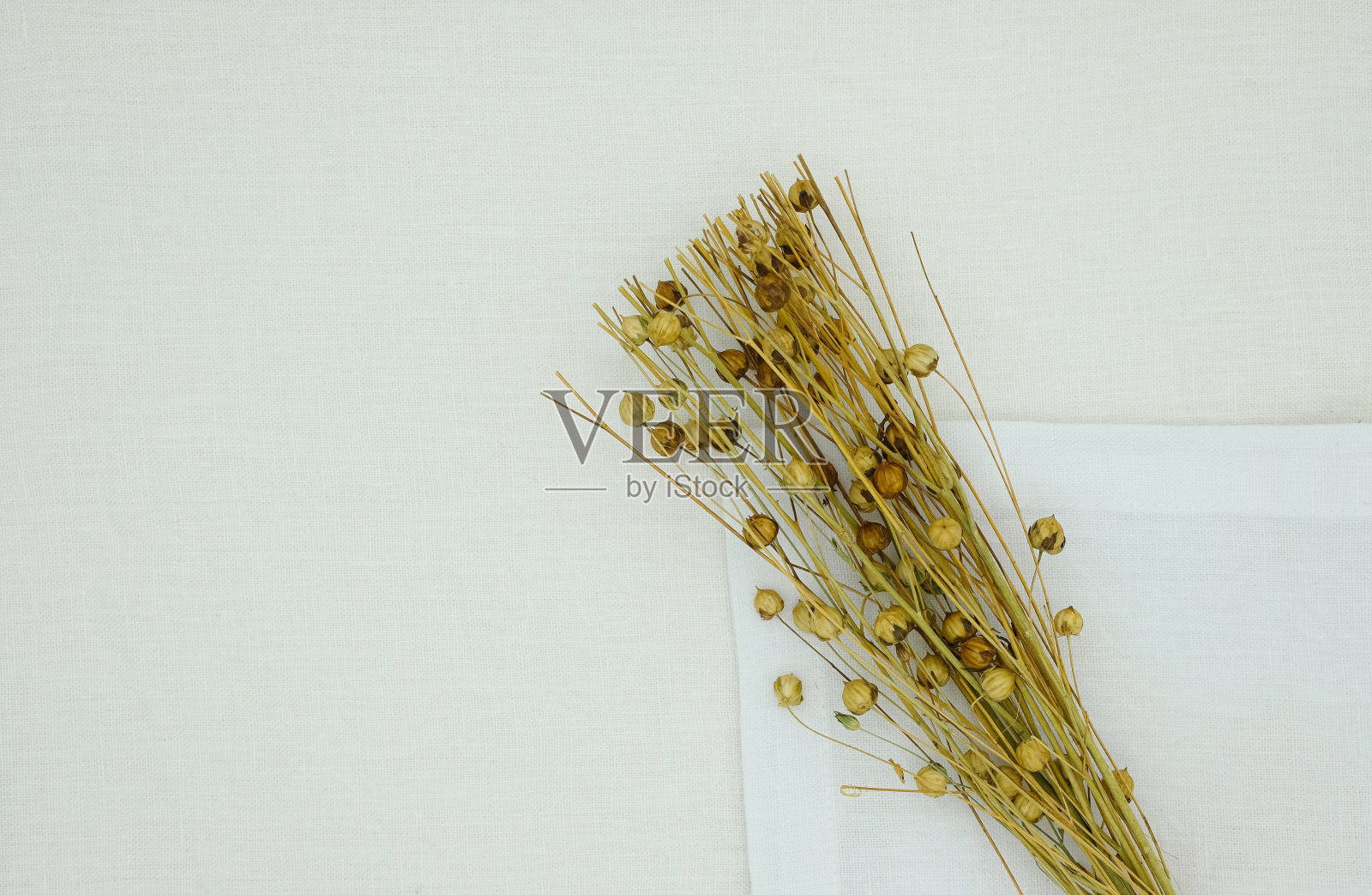 白色亚麻布上的干亚麻籽荚。照片摄影图片