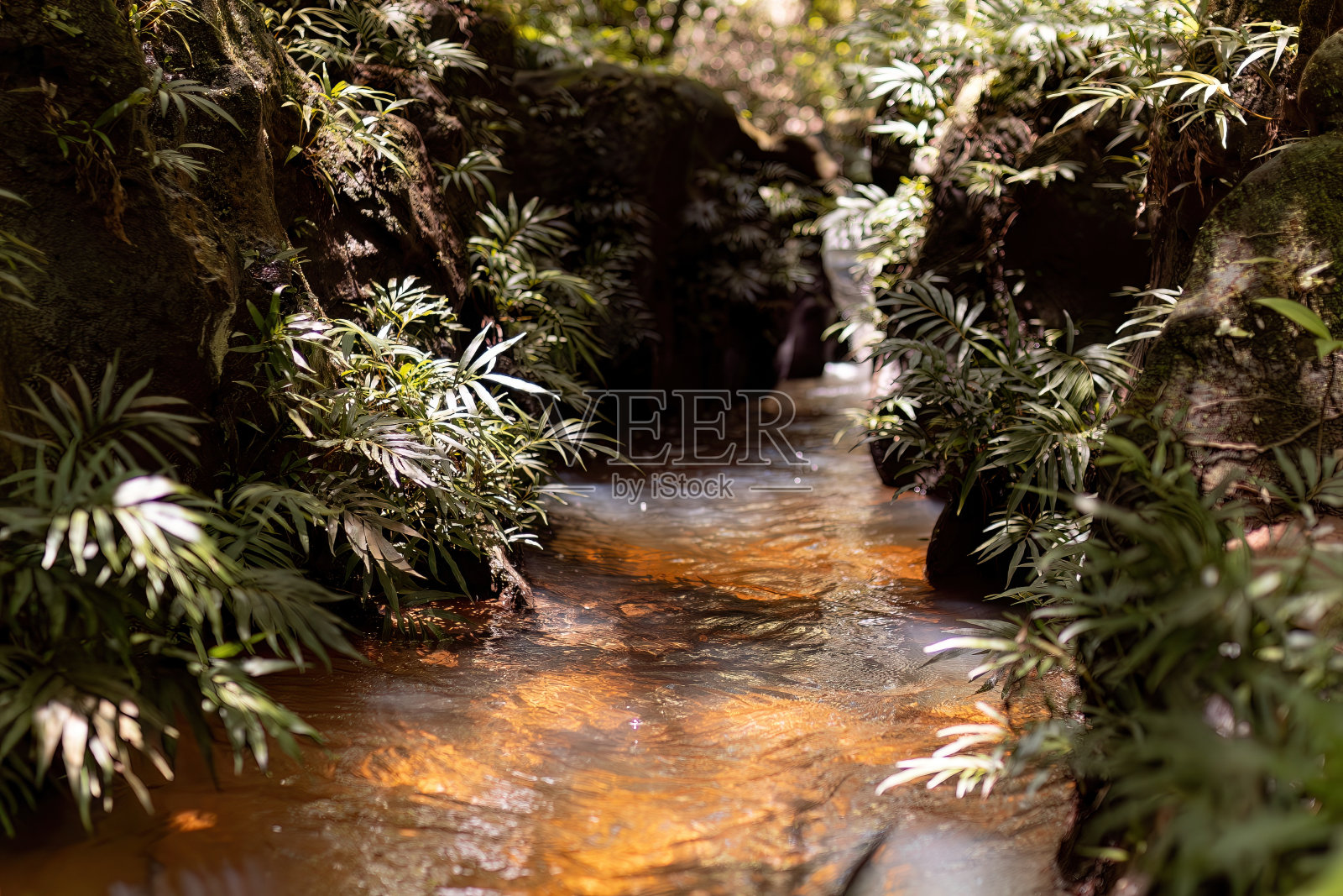 峡谷溪流的自然景观照片摄影图片