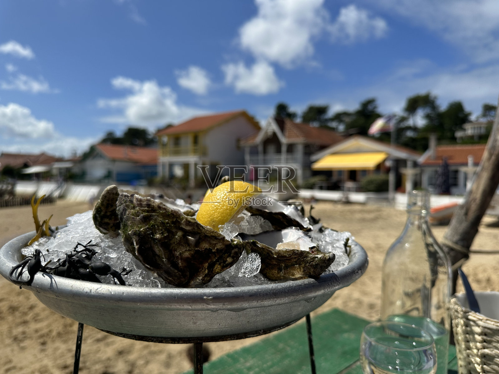 费雷特船长餐厅的牡蛎照片摄影图片