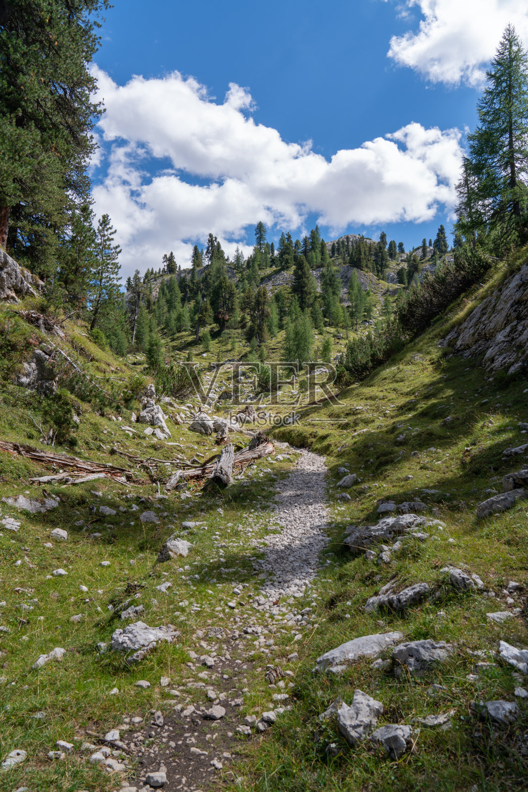 高的岩石。阿尔卑斯山在意大利。南蒂罗尔。白云石山脉。有石头和树木的绿色景观。山间小路。旅行。旅游的地方。美丽的大自然。蓝色的云照片摄影图片