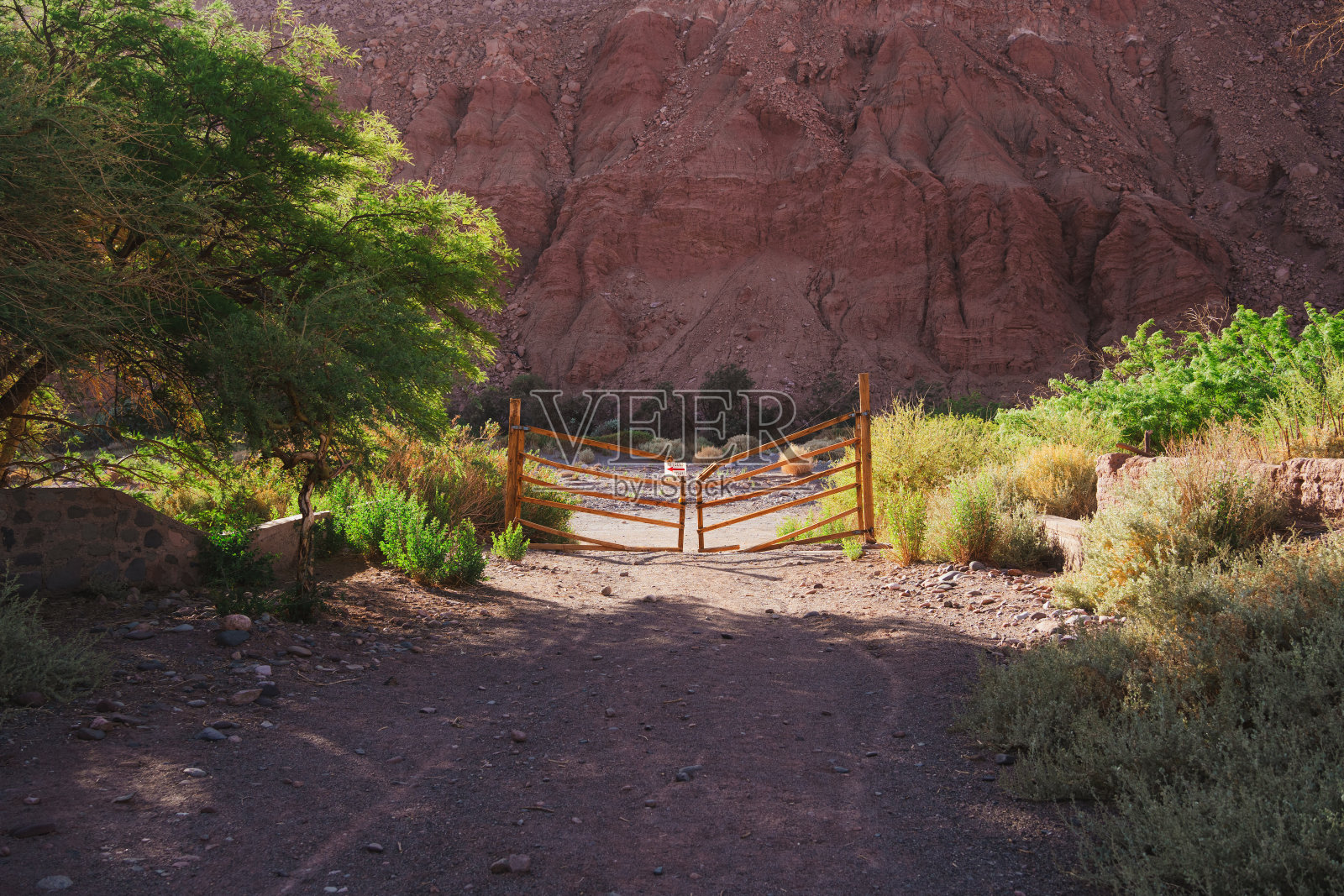 在智利圣佩德罗德阿塔卡马的沙漠中，灌木和树包围着栅栏照片摄影图片