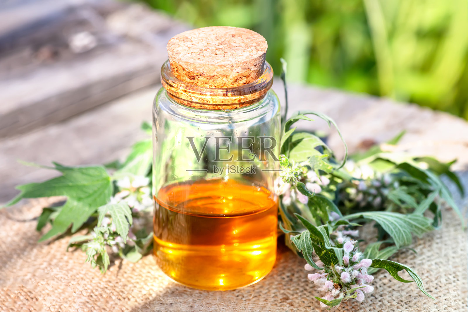 益母草、益母草、益母草、狮耳、狮尾药用植物，装在旧窗台木臼里。美容和非传统医学的成分。盛夏盛开照片摄影图片