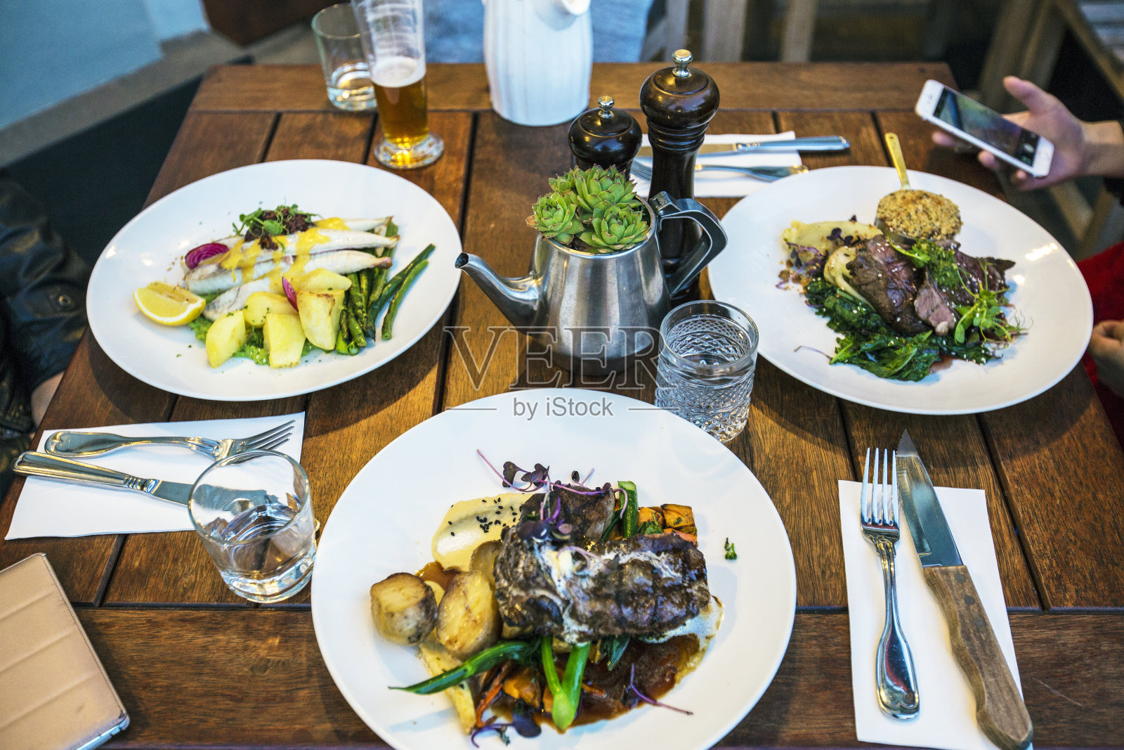 美味佳肴和绿色植物:烹饪艺术和芦荟和谐展示照片摄影图片