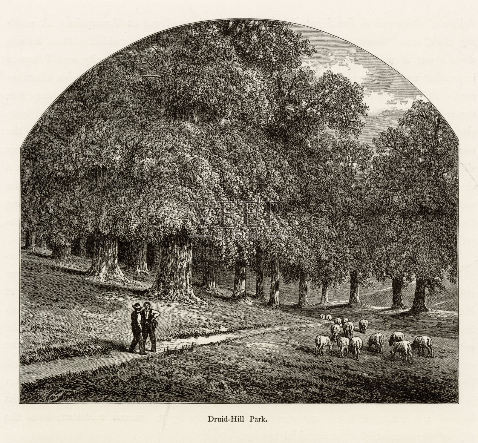 巴尔的摩，马里兰州-德鲁伊山公园1874古董美国版画插画图片素材
