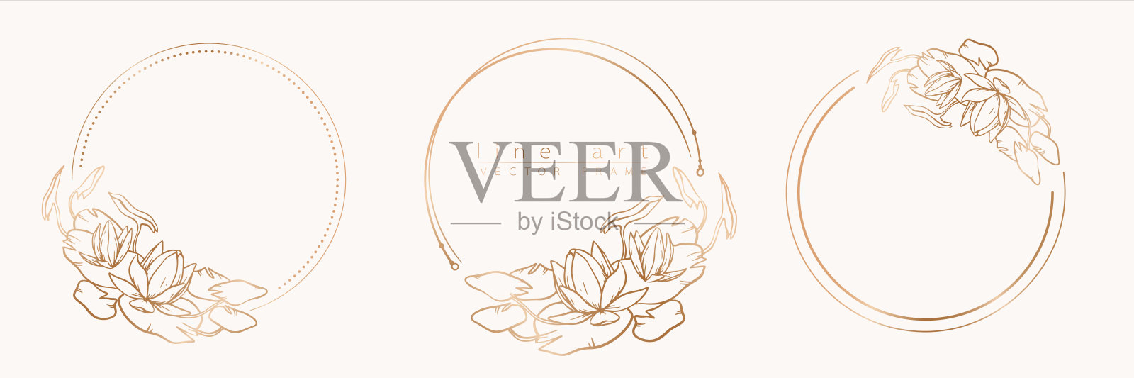 植物金圈框架套。插画图片素材