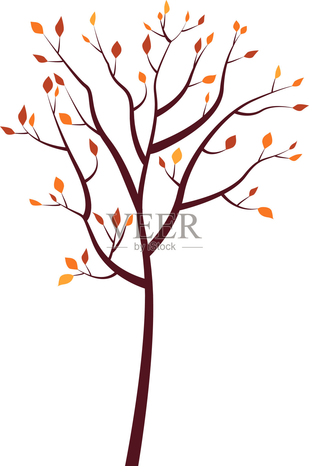 秋天有橙色和红色叶子的树。插画图片素材