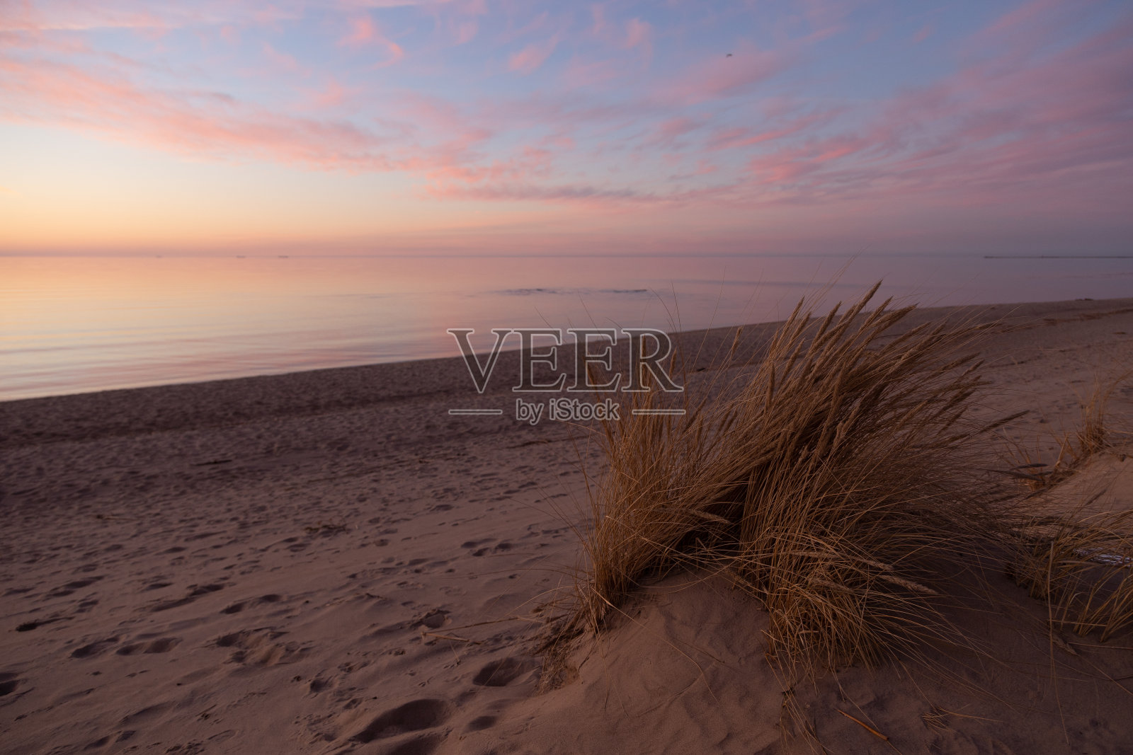 波罗的海附近的沙丘上生长着美丽的阳光景观。照片摄影图片