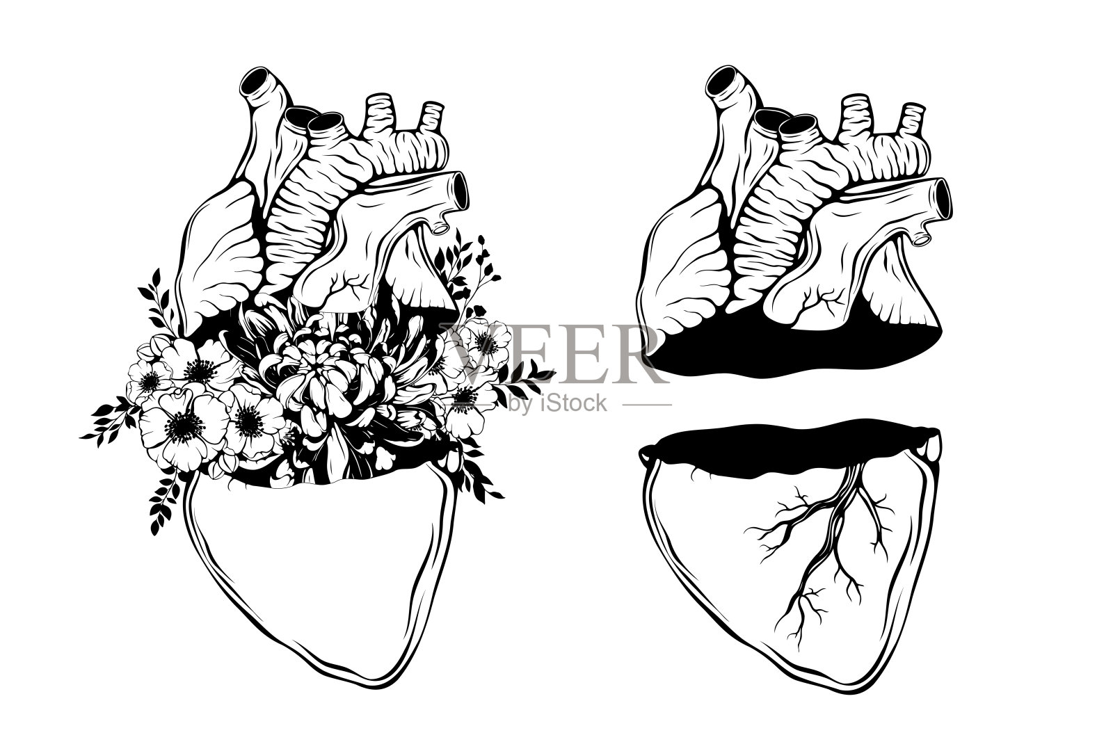 涂鸦背景与现实的人心，鲜花情人节贺卡，婚礼。浪漫星座，自然爱情观。线条艺术，印刷，纹身素描插画图片素材