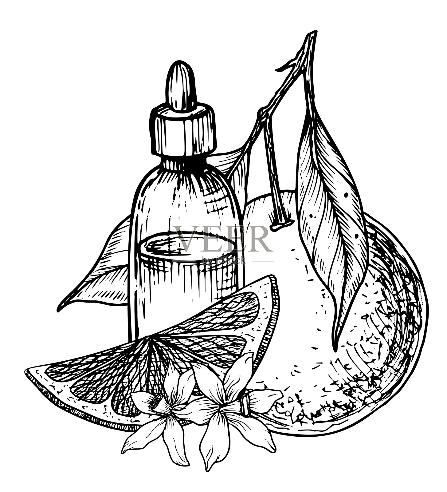 橙子精油配水果片。手绘矢量插图的复古透明瓶香气疗法的线条艺术风格。复古香水瓶，用于黑色的化妆品柑橘味插画图片素材
