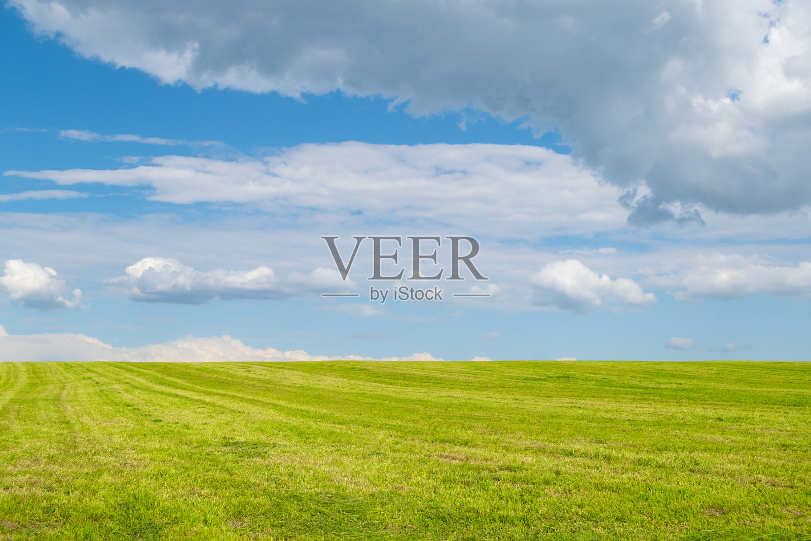 刚割过的田地和蔚蓝的天空。照片摄影图片