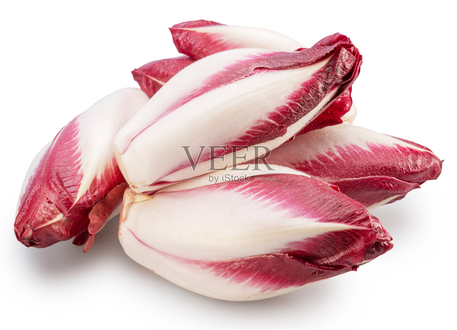 白色背景上的红色菊苣或意大利菊苣。文件包含剪辑路径。照片摄影图片