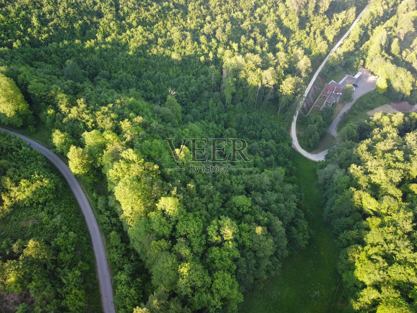 穿过绿色森林的道路，穿过森林的鸟瞰图，俯瞰城市照片摄影图片