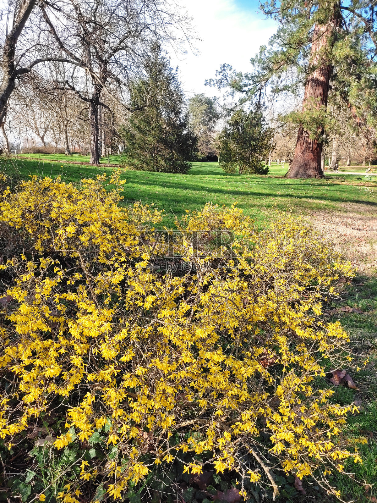 2024年2月，法国维希。旅行照片摄影图片