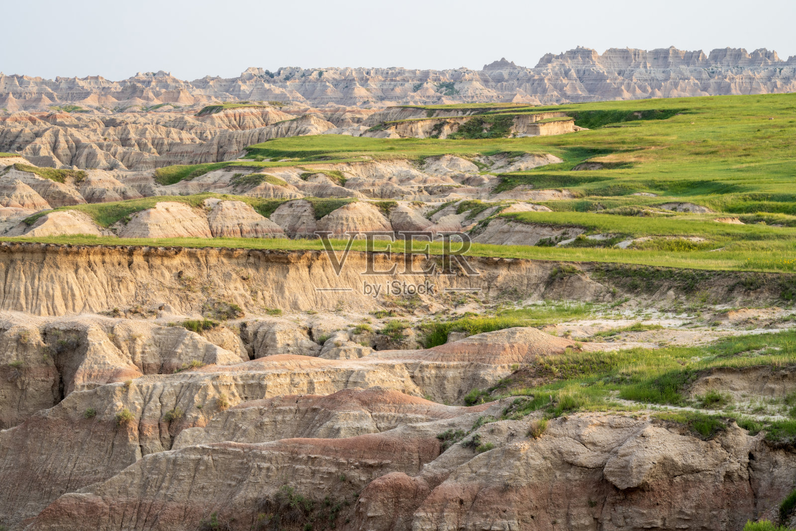 恶地国家公园的夏季景观