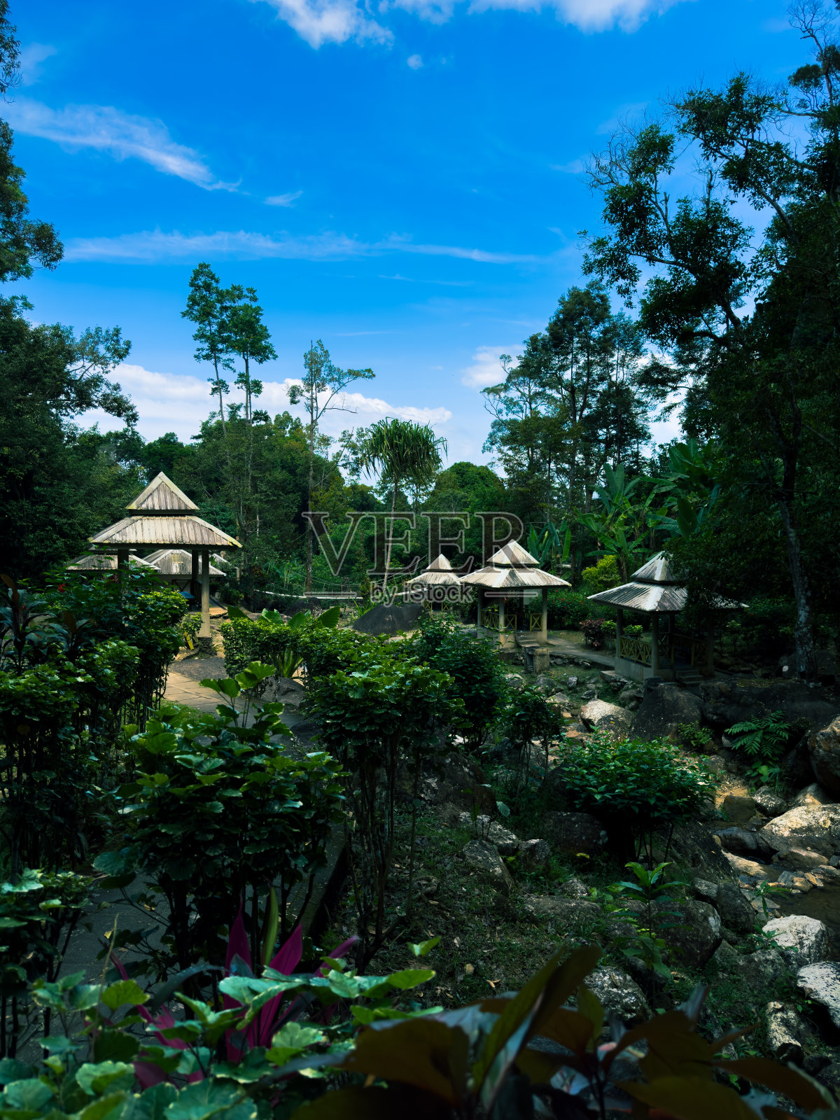 有各种植被、树木和岩石的绿地照片摄影图片