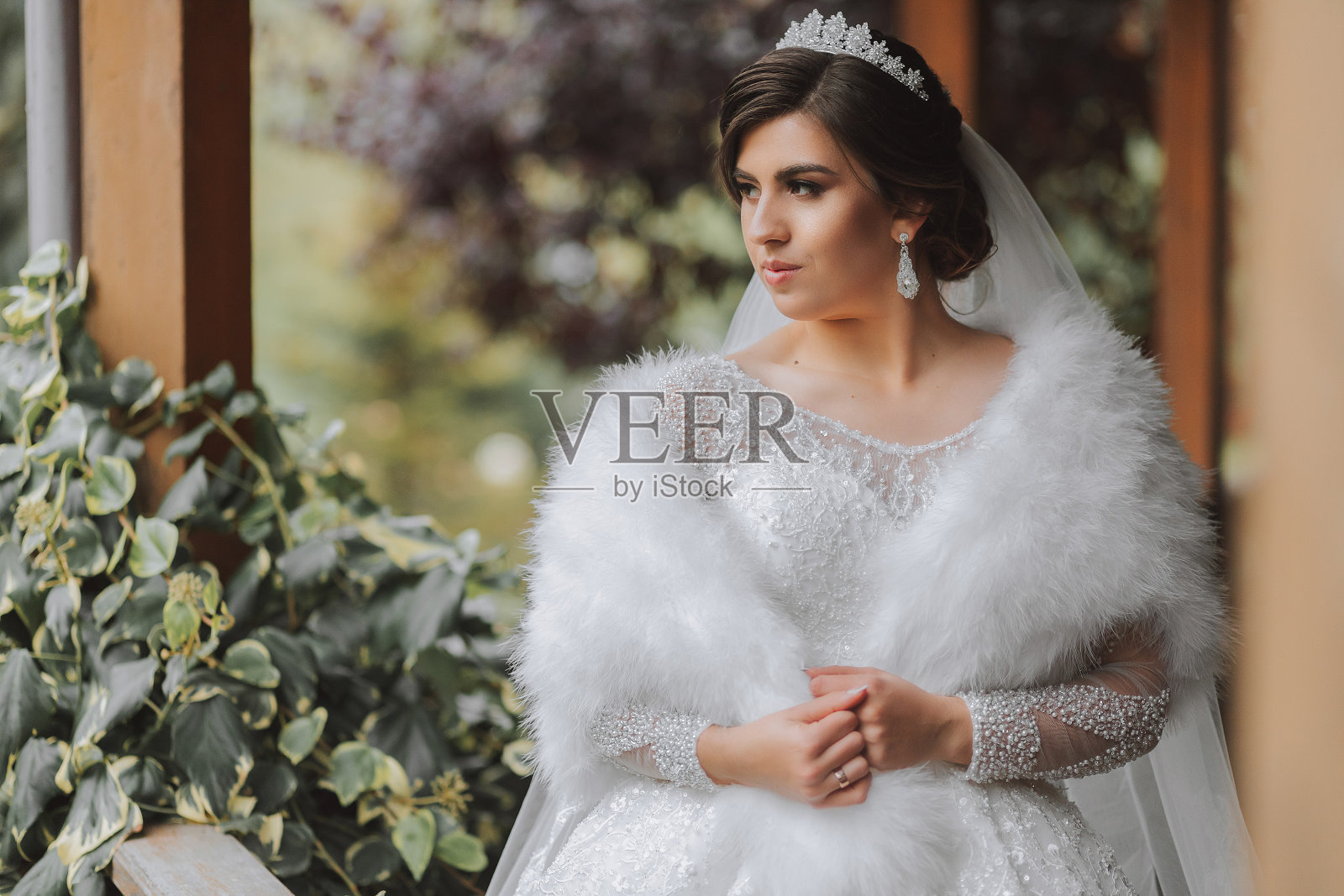 一个穿着婚纱的美丽女王。迷人的新娘在公园里散步。婚礼服装是一件奢华的白色礼服，一件奢华的雨衣，一件用天鹅羽毛做成的白色披肩。照片摄影图片