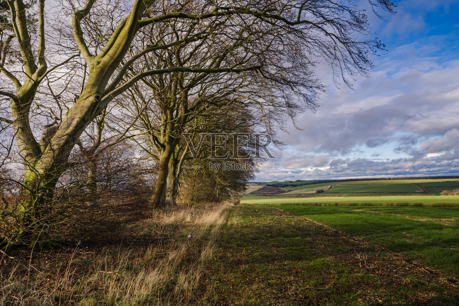 约克郡荒野乡村照片摄影图片