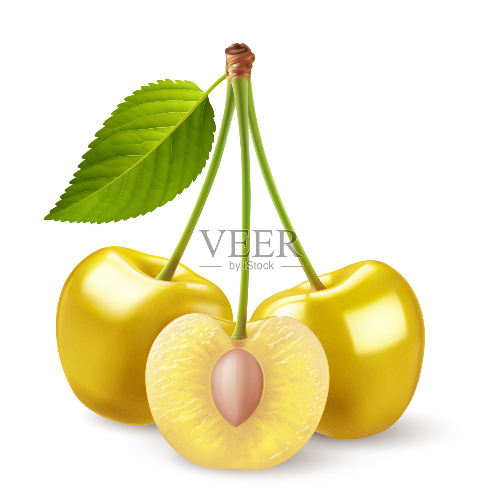 樱桃浆果插画图片素材