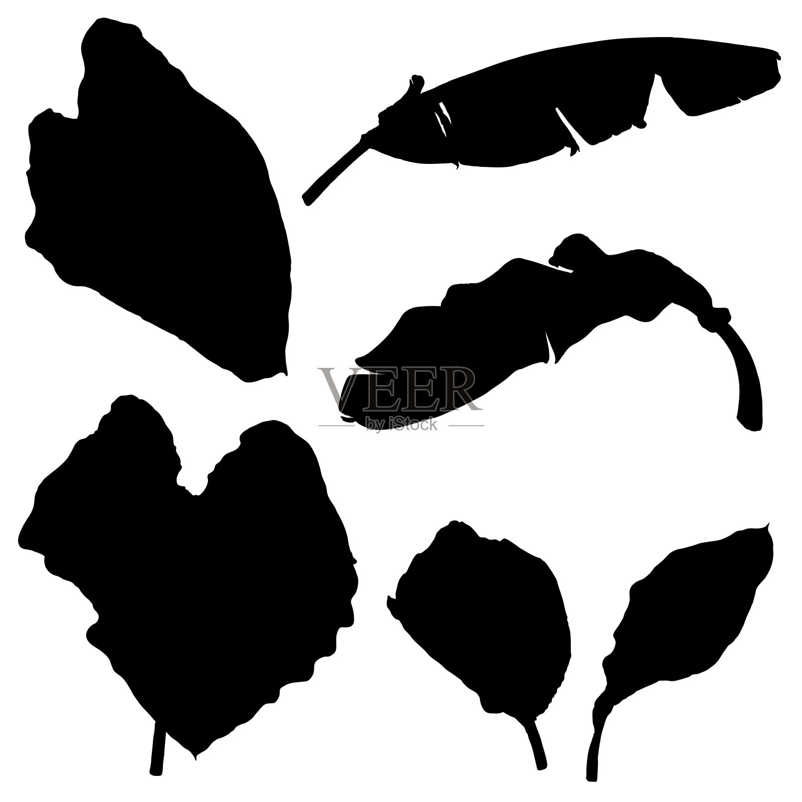 黑色各种热带丛林树叶集。孤立的棕榈树树枝和草本植物叶或叶剪影。向量。插画图片素材