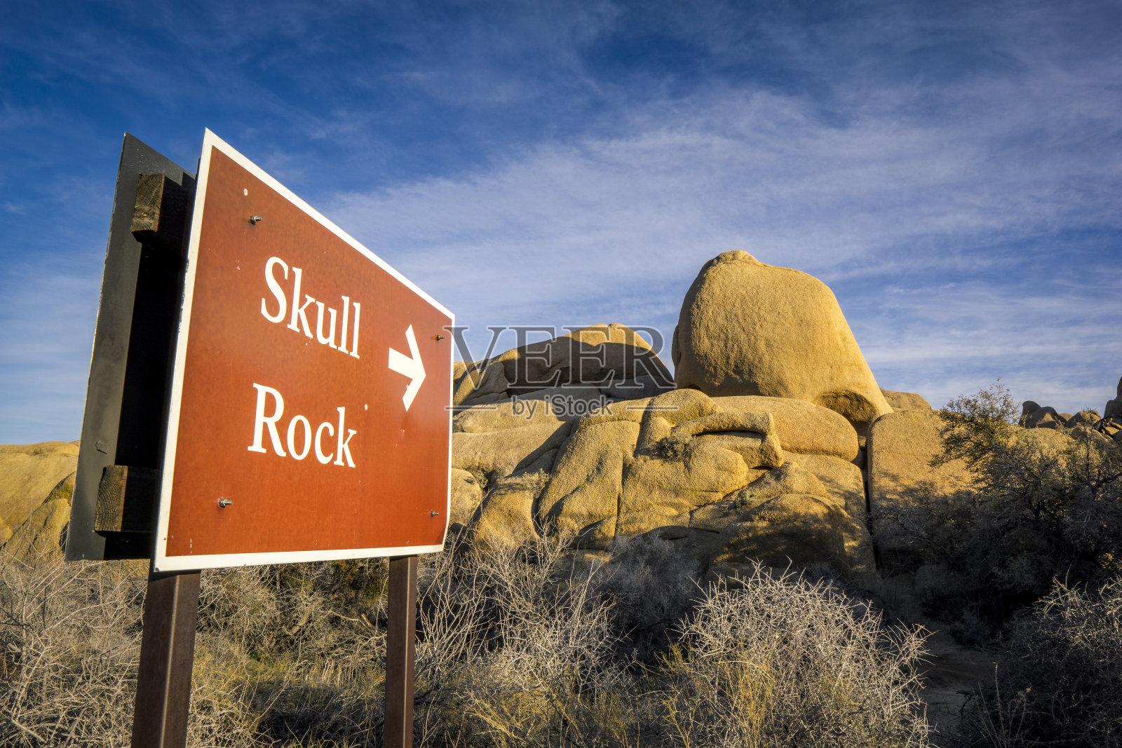加州约书亚树国家公园照片摄影图片