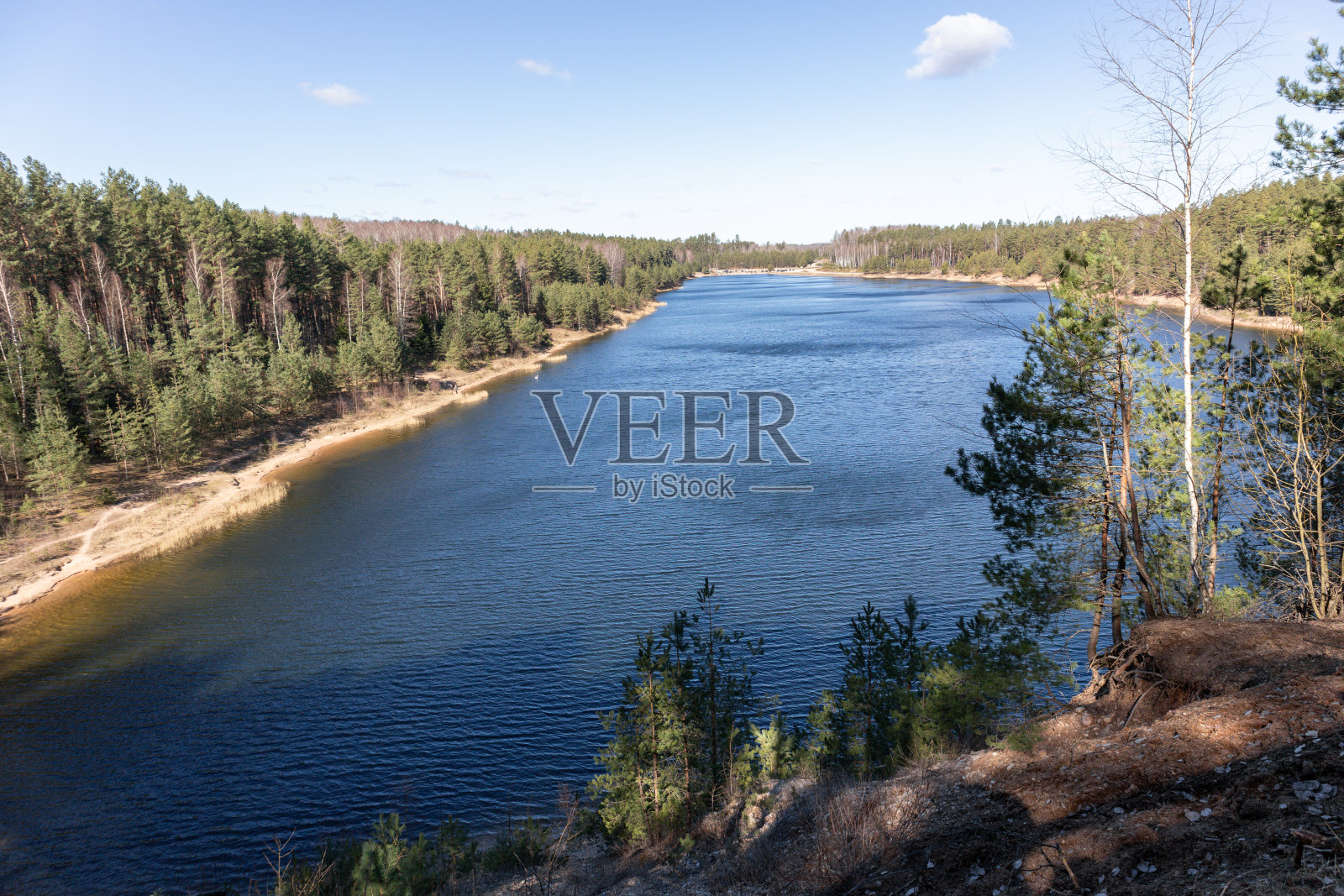 自然景观，蓝色的水和沙滩之间的绿色树木在蓝天的背景照片摄影图片