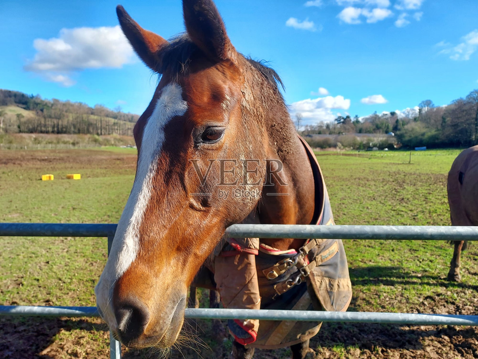 马美照片摄影图片