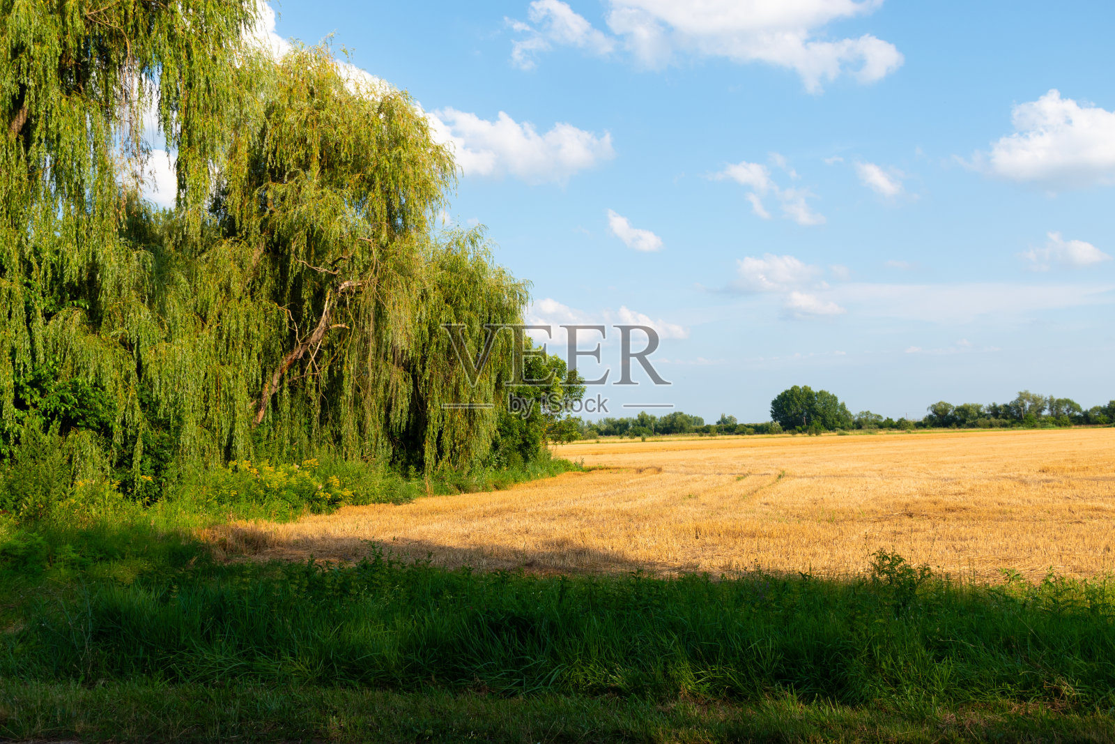 匈牙利fehsamrgyarmat的风景照片摄影图片
