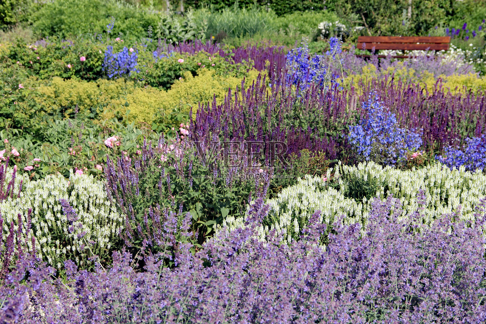 五颜六色的草本植物和花园照片摄影图片