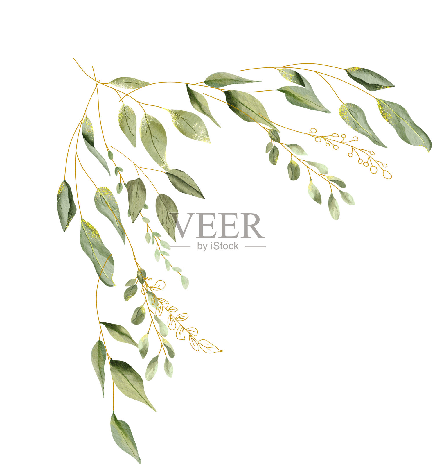 水彩绿叶花束插画图片素材