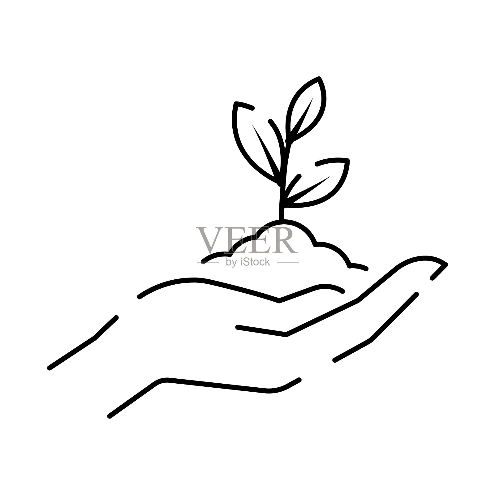 土线图标。简单植物相关矢量线图标。包含诸如“手头的叶子”和“生长条件”等图标。种子和灌溉。春天插画图片素材