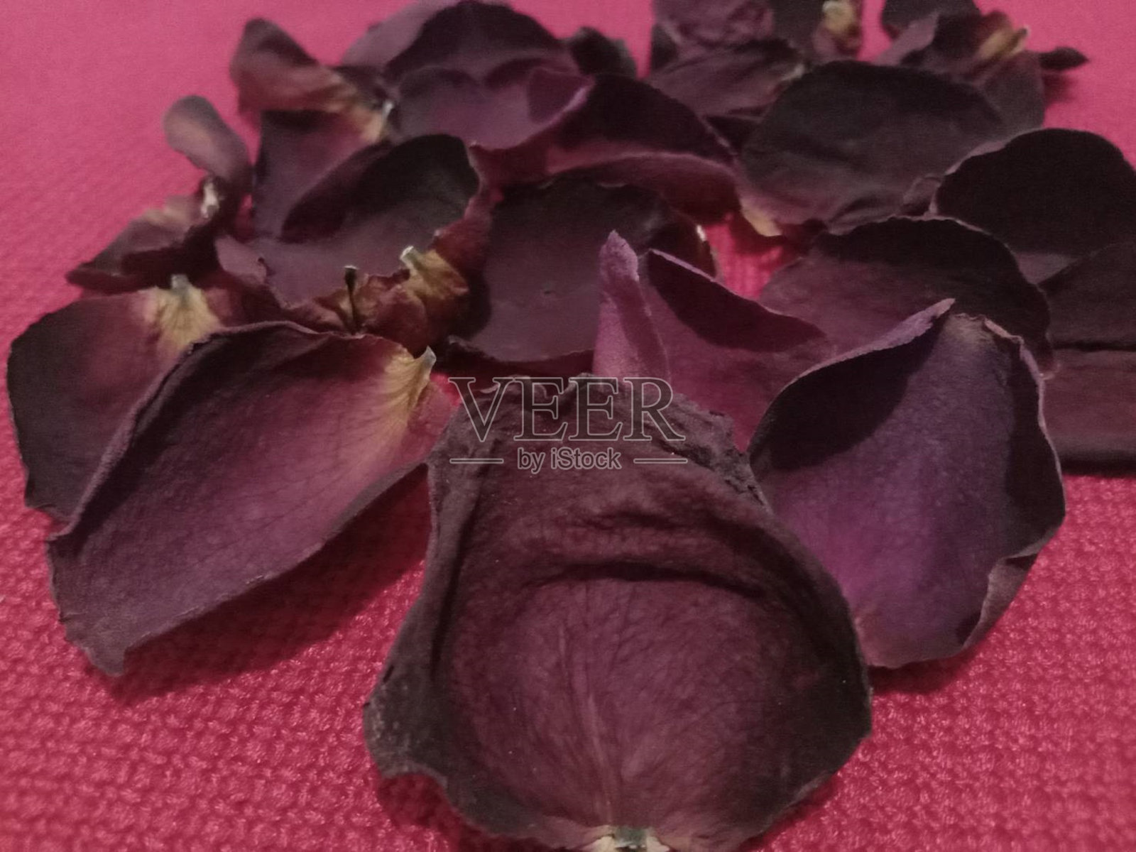 玫瑰花瓣照片摄影图片