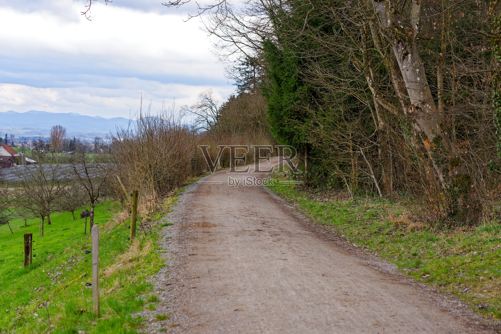 从瑞士小镇的角度看，美丽的风景，土路和树木。照片摄影图片