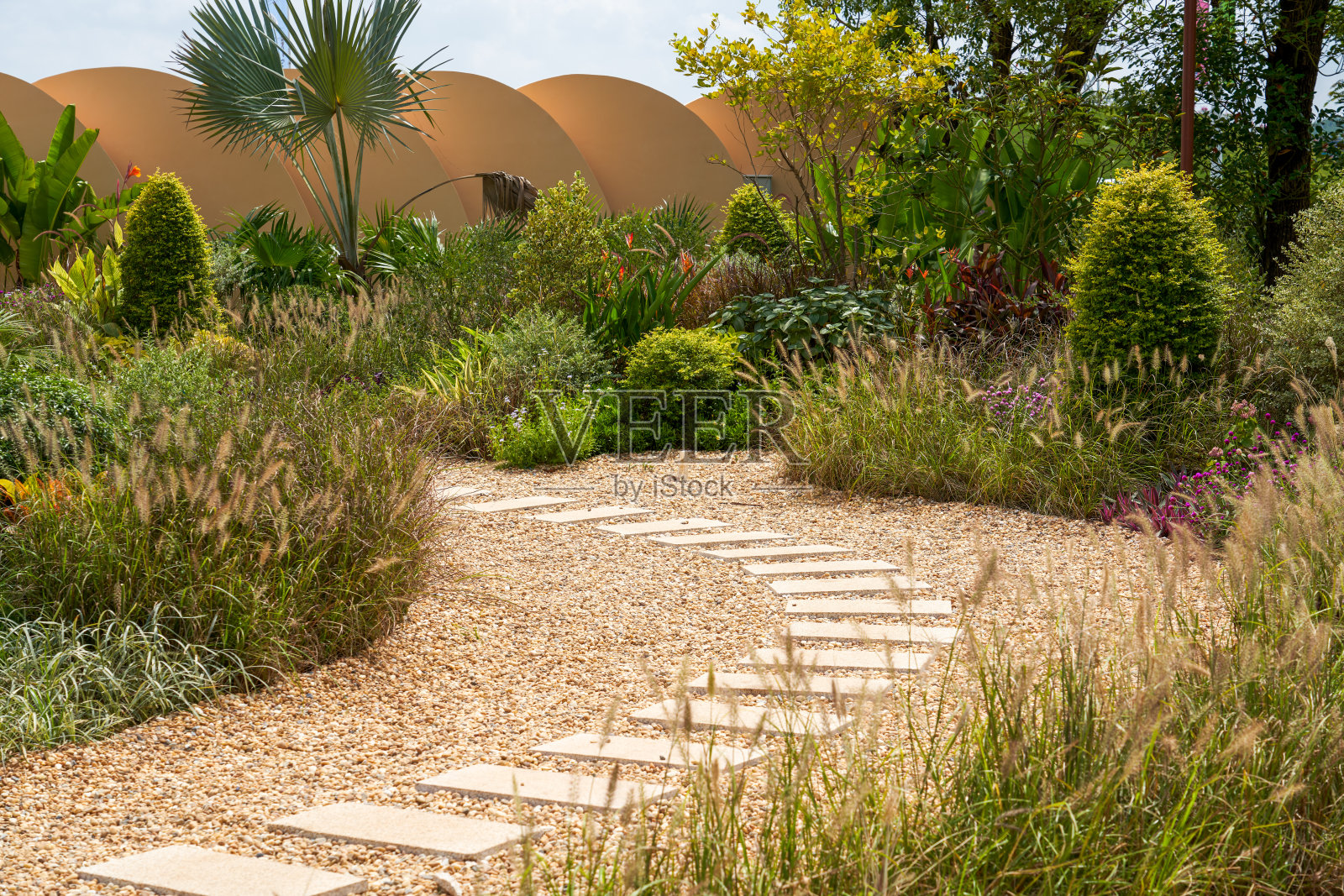 被树木环绕的乡间小路照片摄影图片