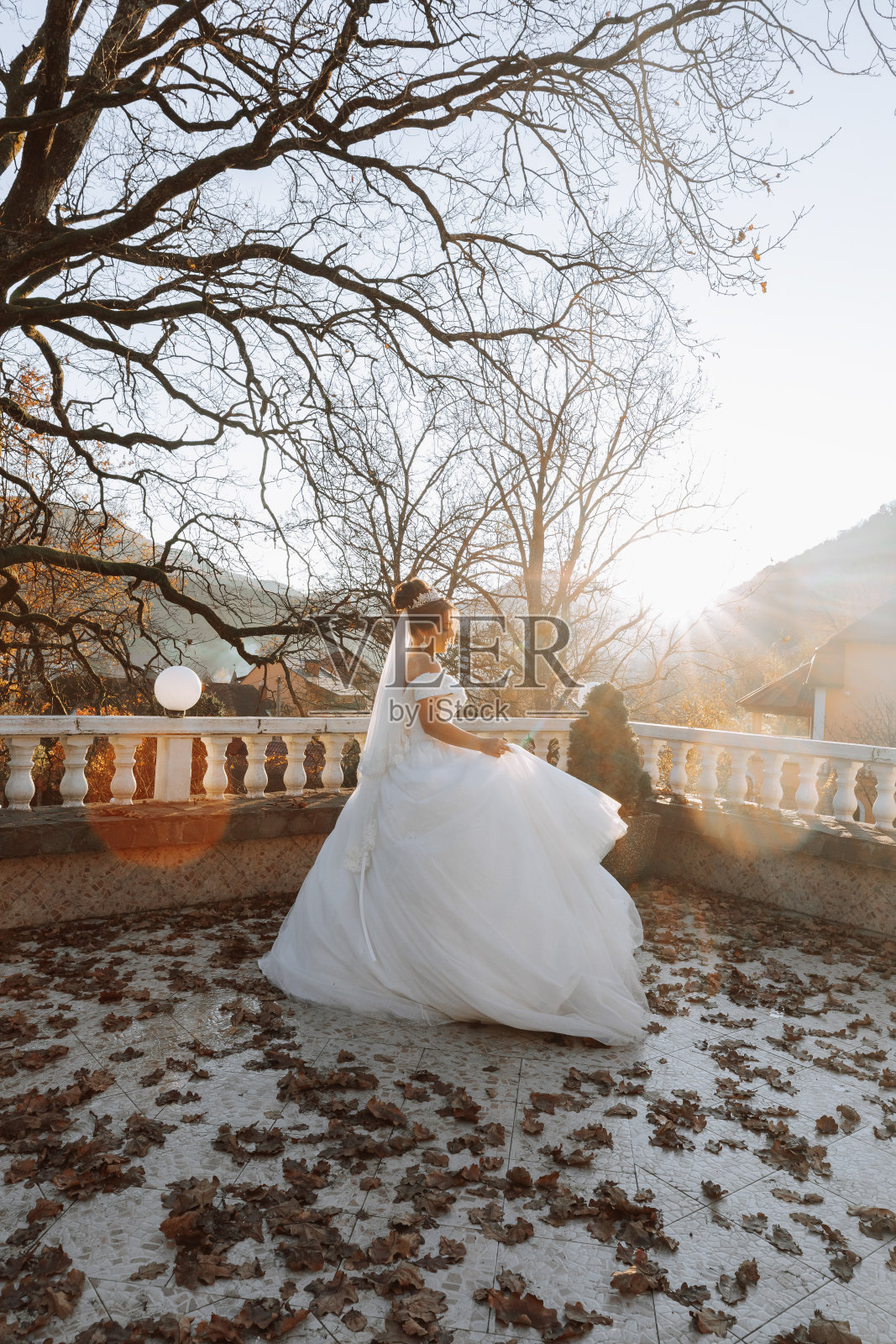 秋林里的新娘肖像。自然背景下身着婚纱的新娘。结婚的那一天。照片摄影图片