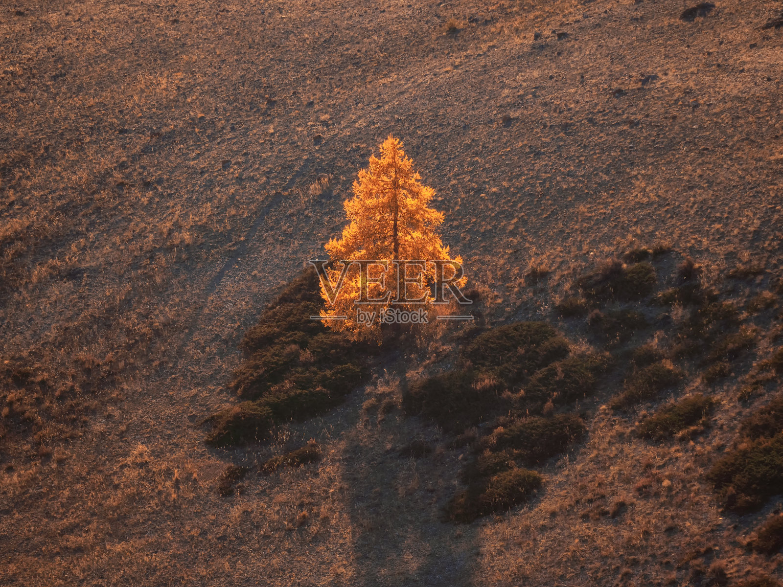 自然秋山极简景观。照片摄影图片