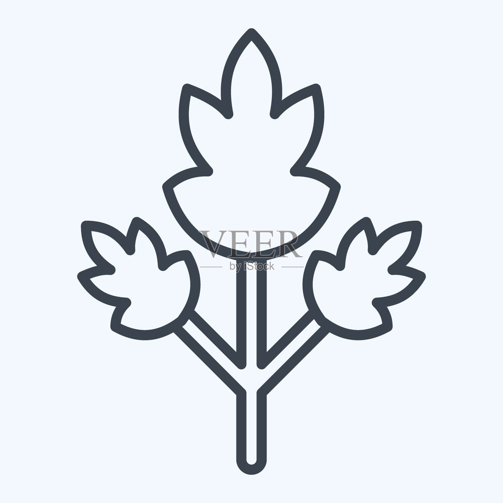 图标欧芹。与香料符号有关。行风格。简单的设计可编辑。简单的说明插画图片素材