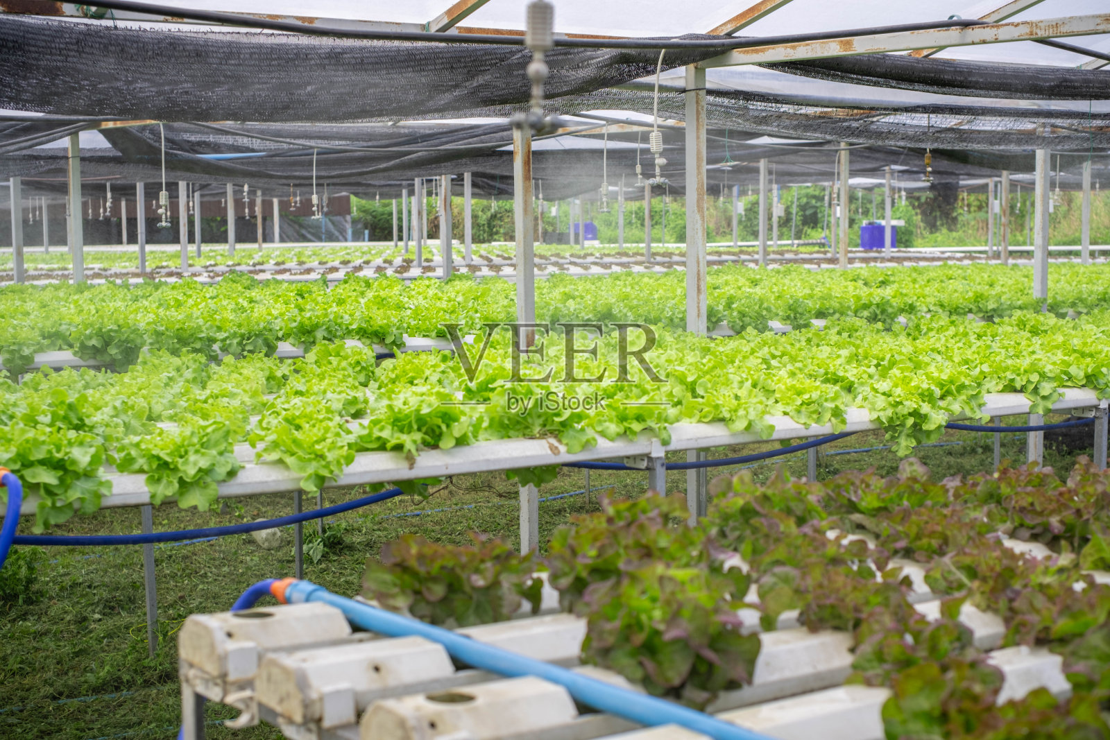 这里有一大片循环水系统，看起来很潮湿。照片摄影图片