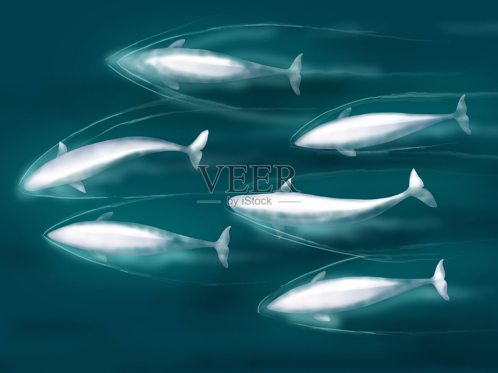 独角鲸在海里游泳的插图插画图片素材