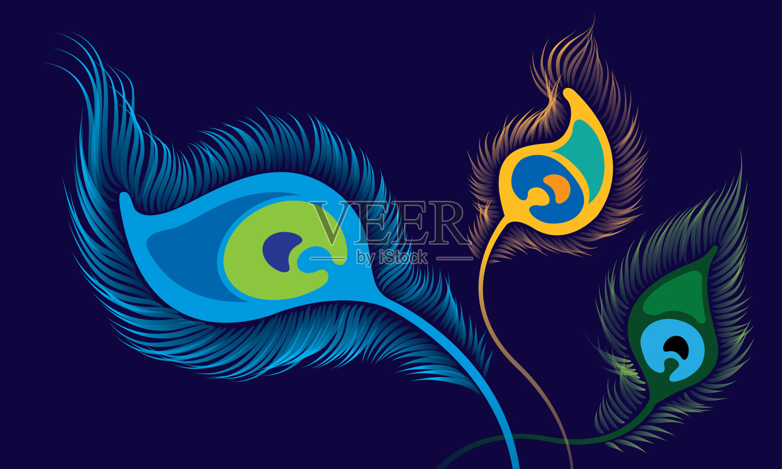 矢量优雅的孔雀羽毛。插画图片素材