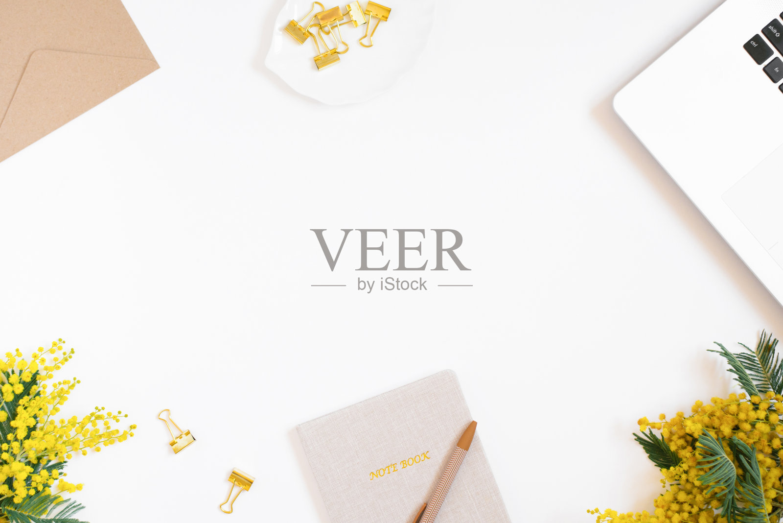 博主或自由职业者工作场所的平面布局。记事本，钢笔，笔记本，黄色含羞草花在白色的背景与复制空间照片摄影图片