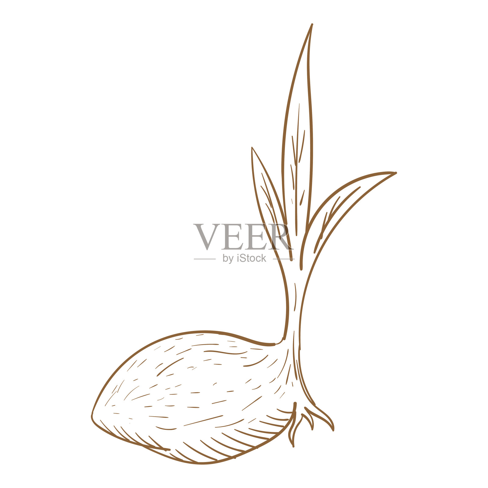 复古复古椰芽插图设计矢量插画图片素材