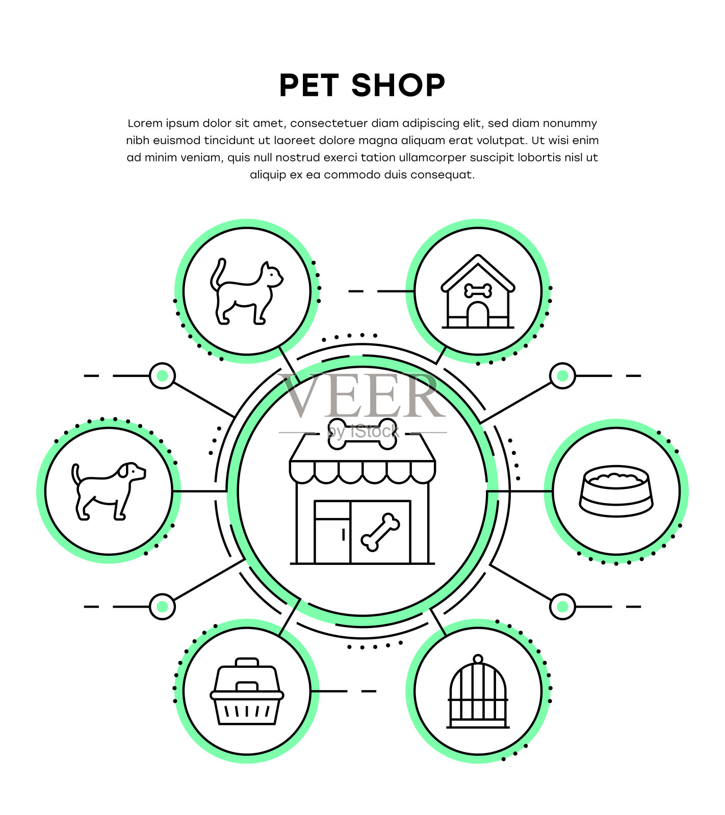 宠物店信息图表模板插画图片素材