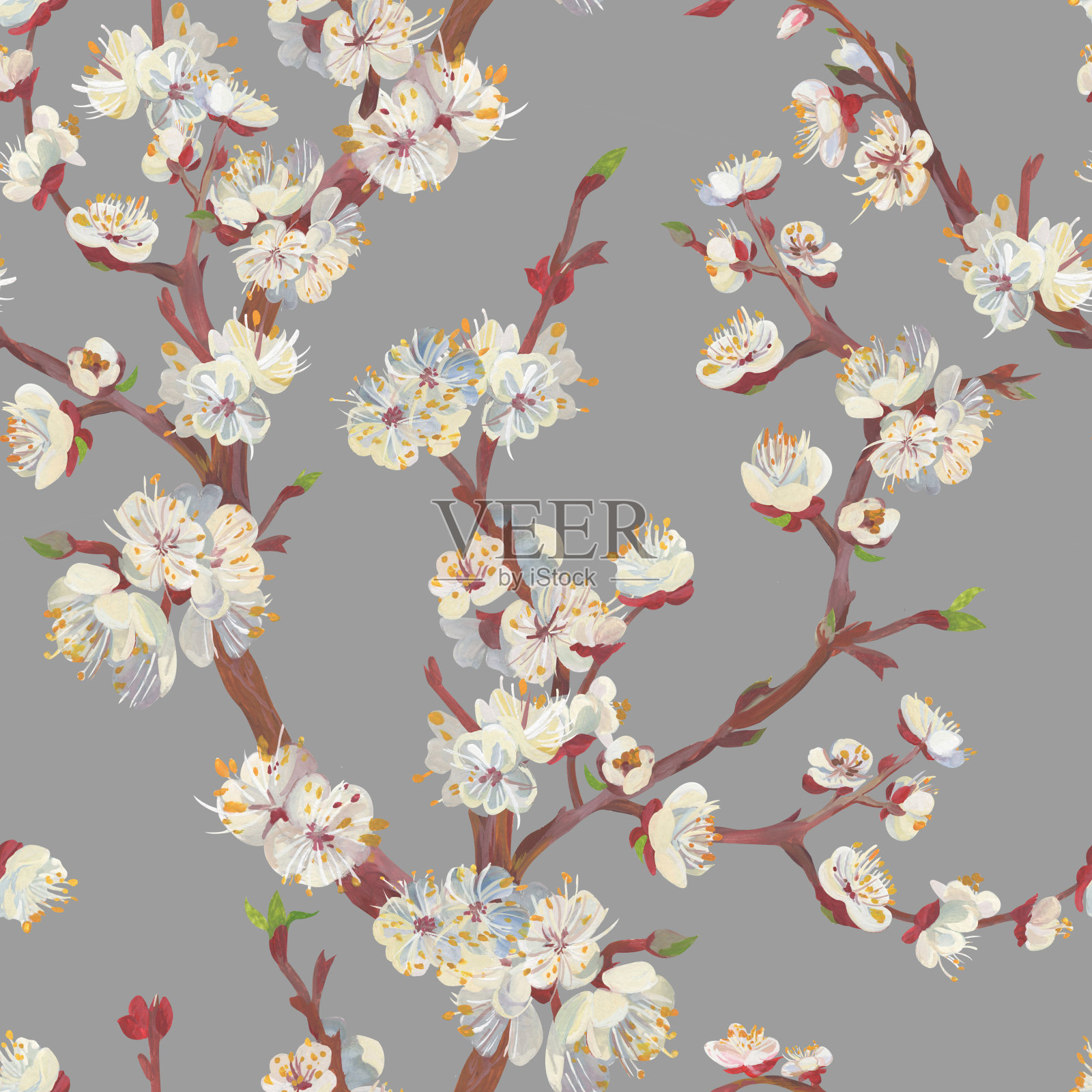 植物无缝图案樱花樱花枝画在水粉画插画图片素材