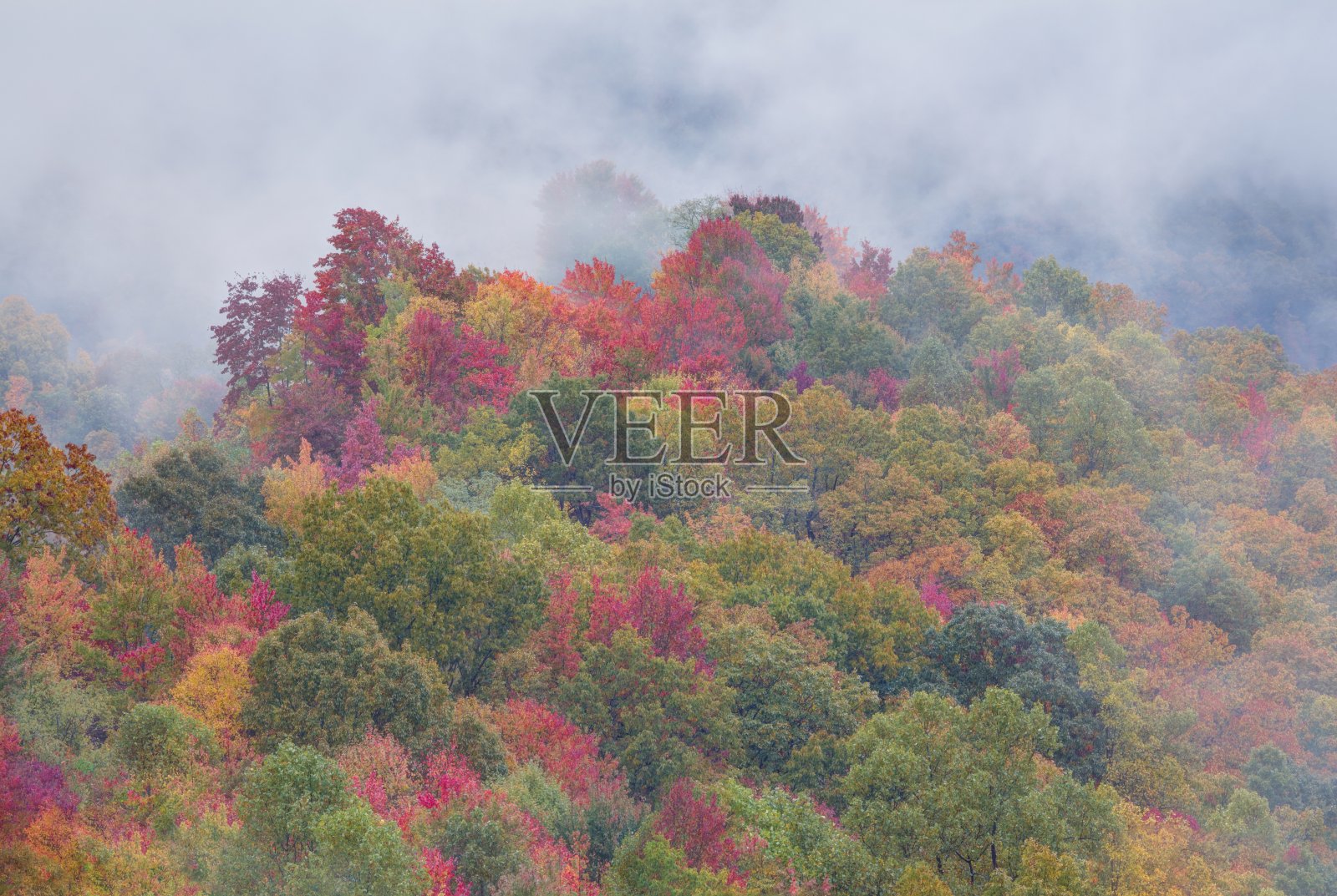 秋天揭秘2照片摄影图片