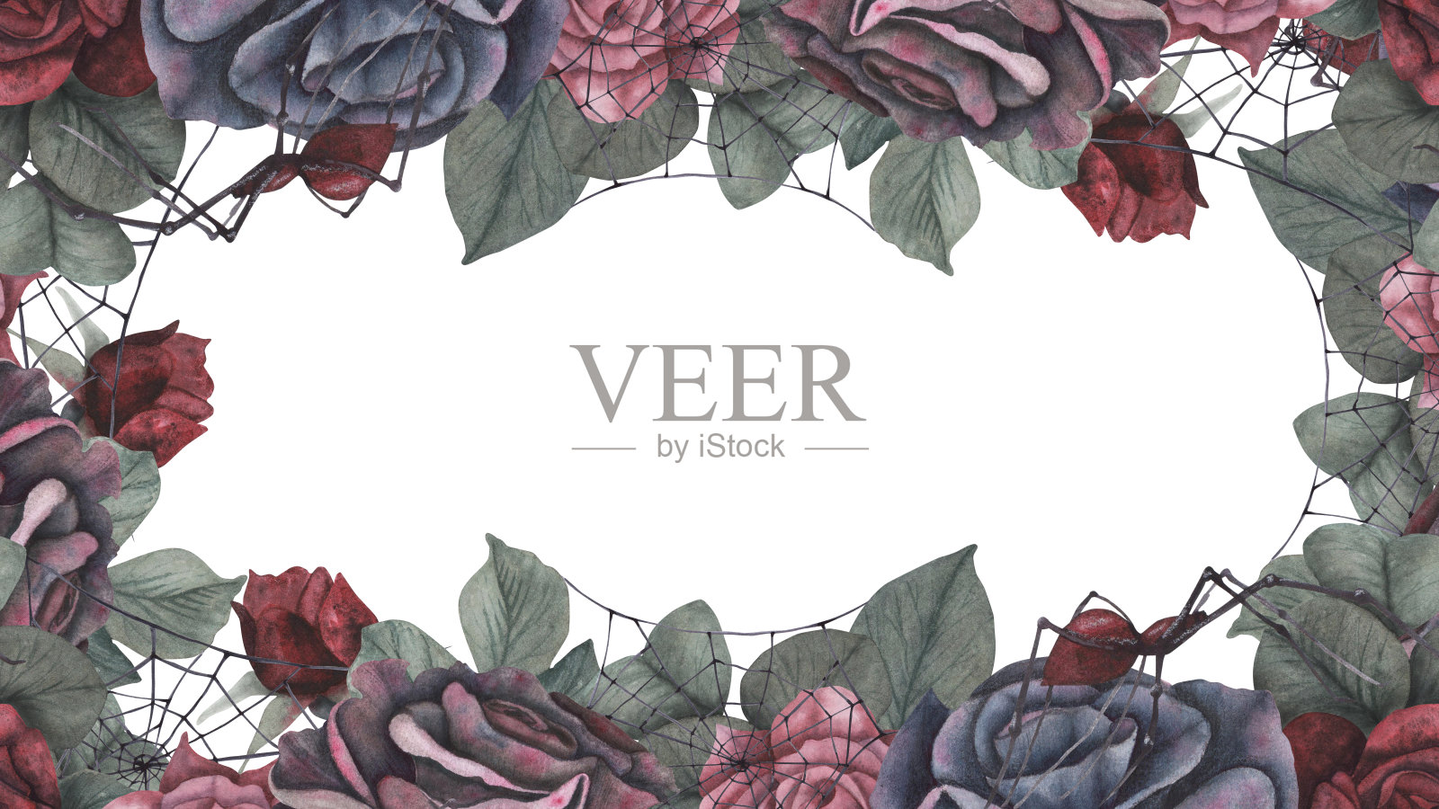 边框框架黑色蜘蛛与蜘蛛网和黑暗的玫瑰花和叶孤立在白色背景。水彩手绘黑暗幻想插画。艺术设计神秘的万圣节巫婆装饰插画图片素材